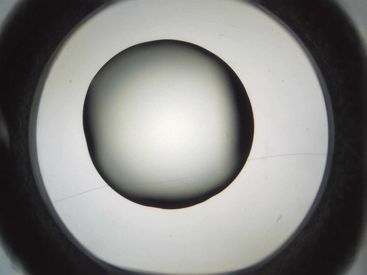 folderID354_plateID1354_batchID4707_wellNum4_profileID1_d1_r81615_ef.jpg