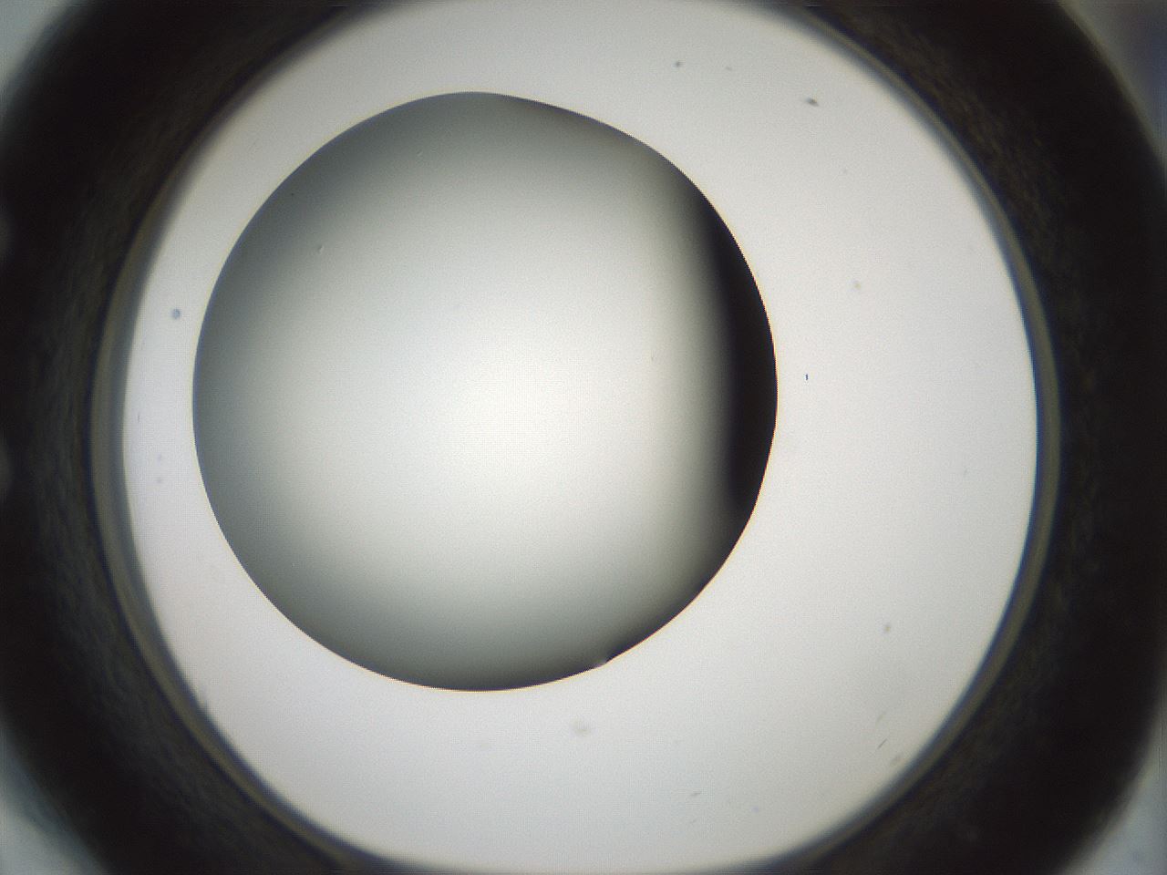 folderID354_plateID1354_batchID4707_wellNum54_profileID1_d1_r81665_ef.jpg