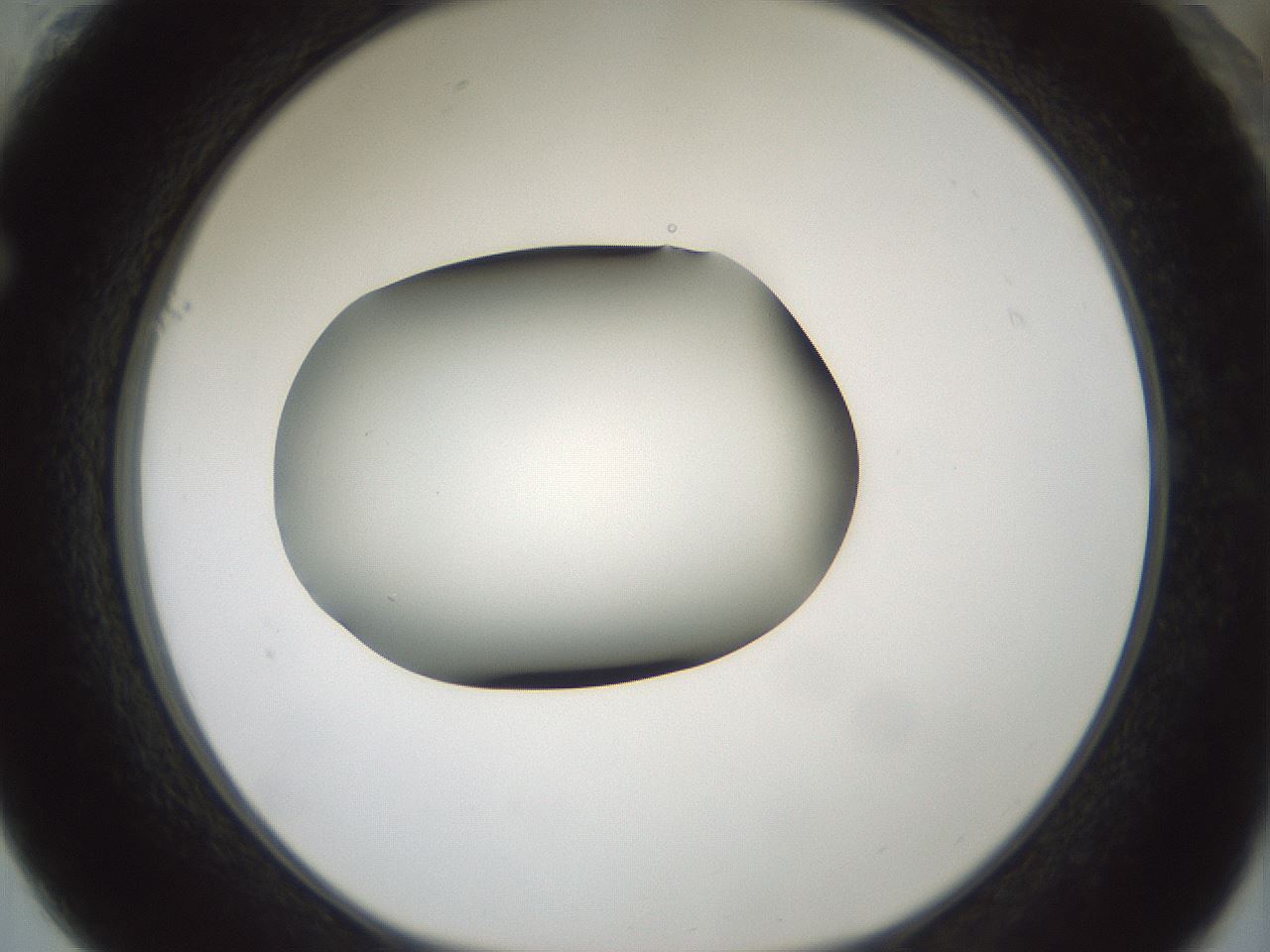 folderID354_plateID1354_batchID4707_wellNum61_profileID1_d1_r81672_ef.jpg