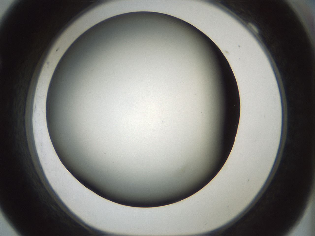 folderID354_plateID1354_batchID4707_wellNum69_profileID1_d1_r81680_ef.jpg
