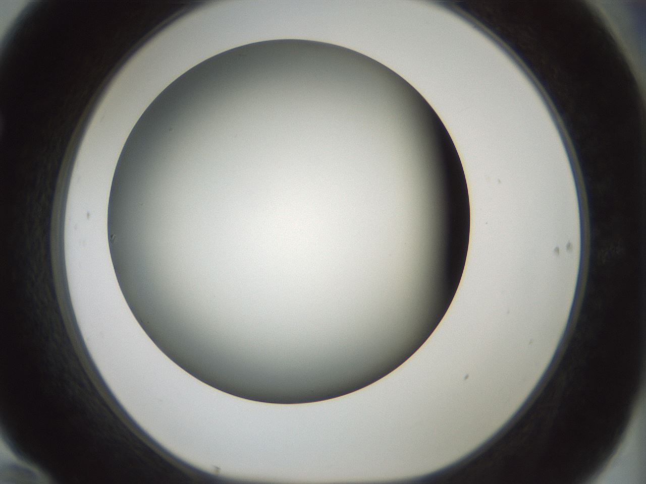 folderID354_plateID1354_batchID4707_wellNum70_profileID1_d1_r81681_ef.jpg