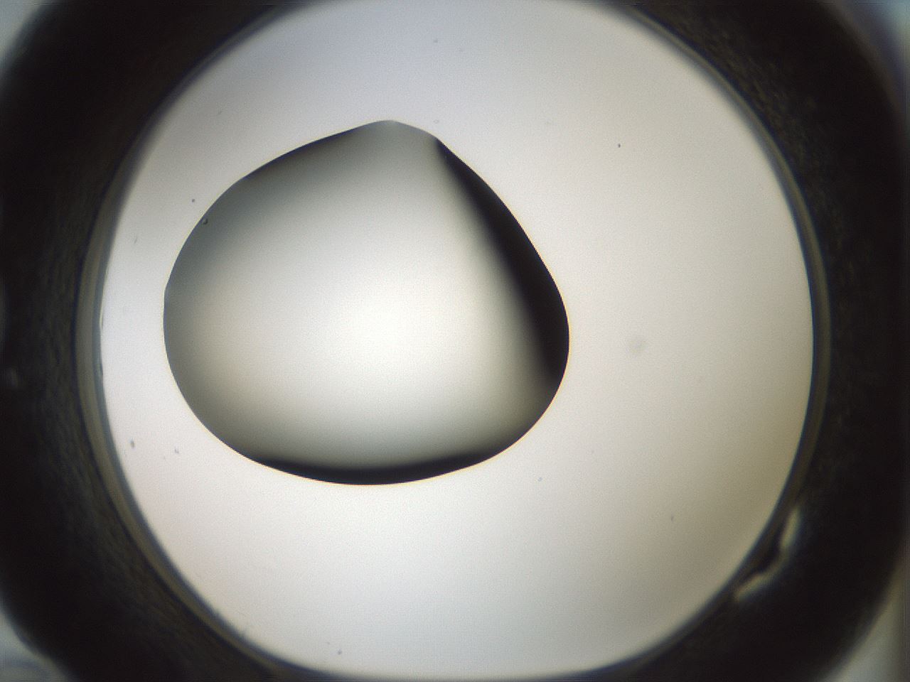 folderID354_plateID1354_batchID4707_wellNum82_profileID1_d1_r81693_ef.jpg
