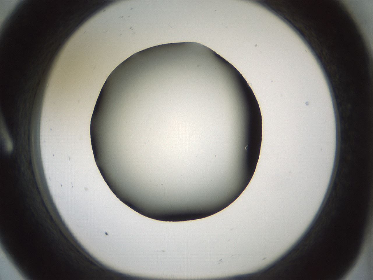 folderID354_plateID1354_batchID4707_wellNum8_profileID1_d1_r81619_ef.jpg