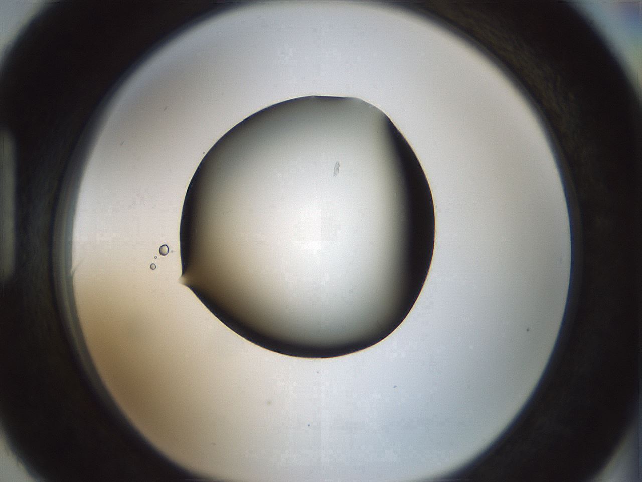 folderID354_plateID1354_batchID4707_wellNum90_profileID1_d1_r81701_ef.jpg