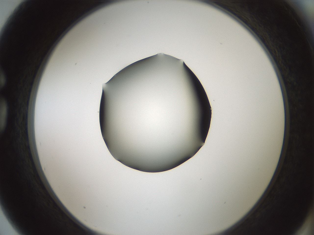 folderID354_plateID1354_batchID4707_wellNum75_profileID1_d1_r81686_ef.jpg