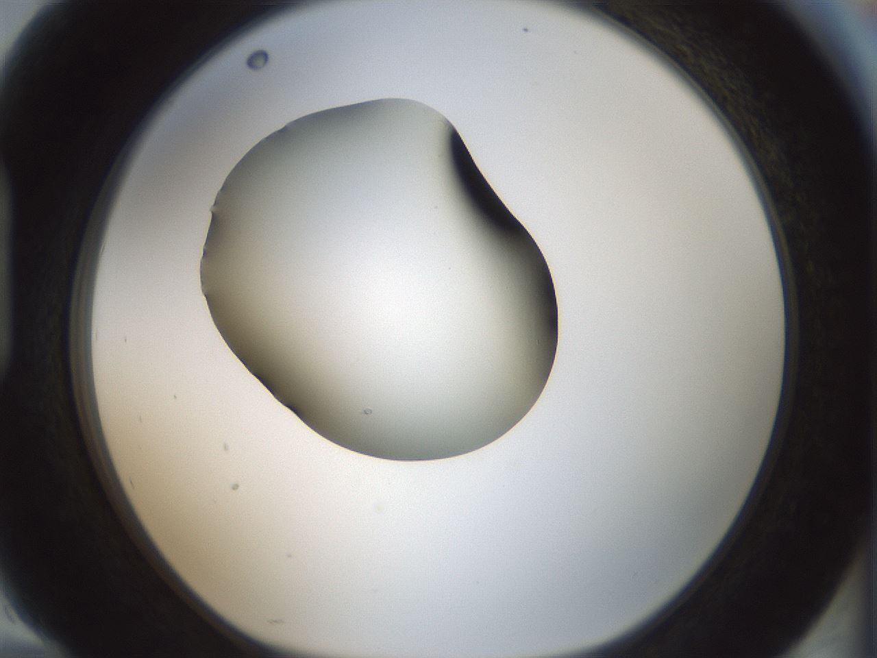 folderID354_plateID1354_batchID4707_wellNum94_profileID1_d1_r81705_ef.jpg