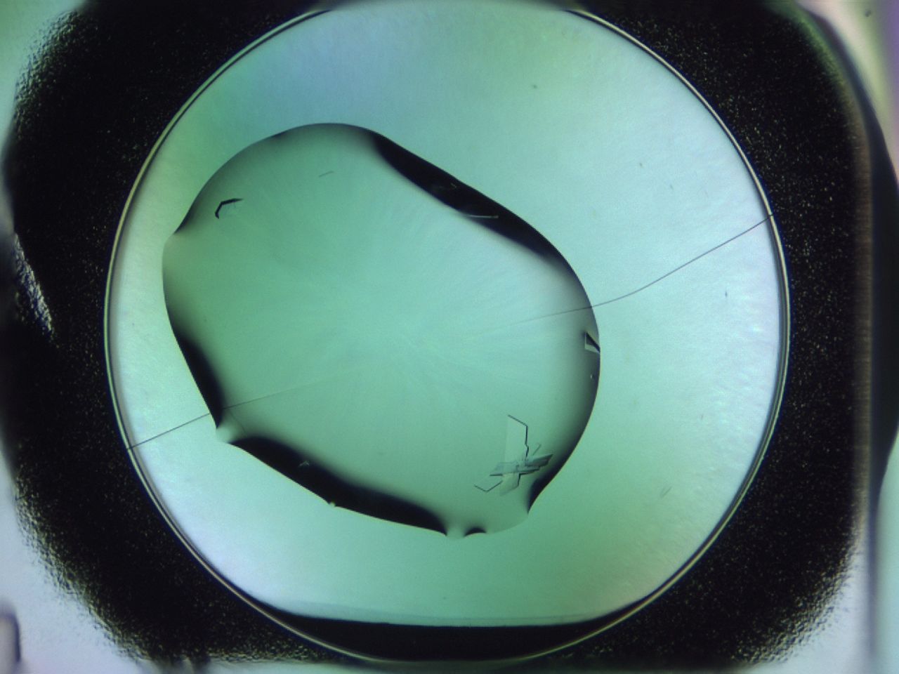 02kk_A4_ImagerDefaults_9.jpg