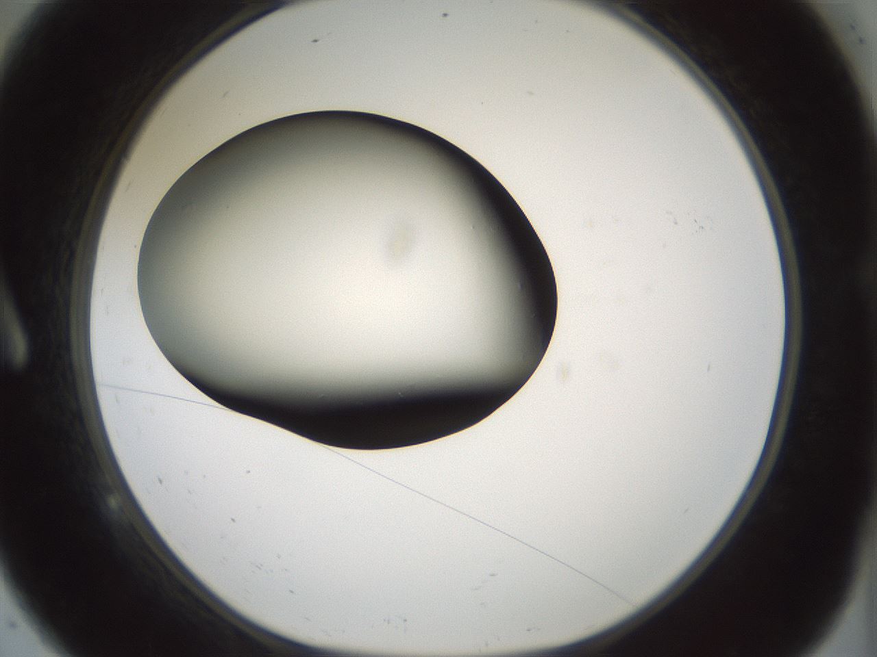 folderID354_plateID1354_batchID4707_wellNum9_profileID1_d1_r81620_ef.jpg