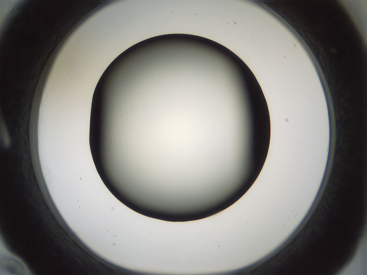 folderID358_plateID1358_batchID4717_wellNum10_profileID1_d1_r82197_ef.jpg