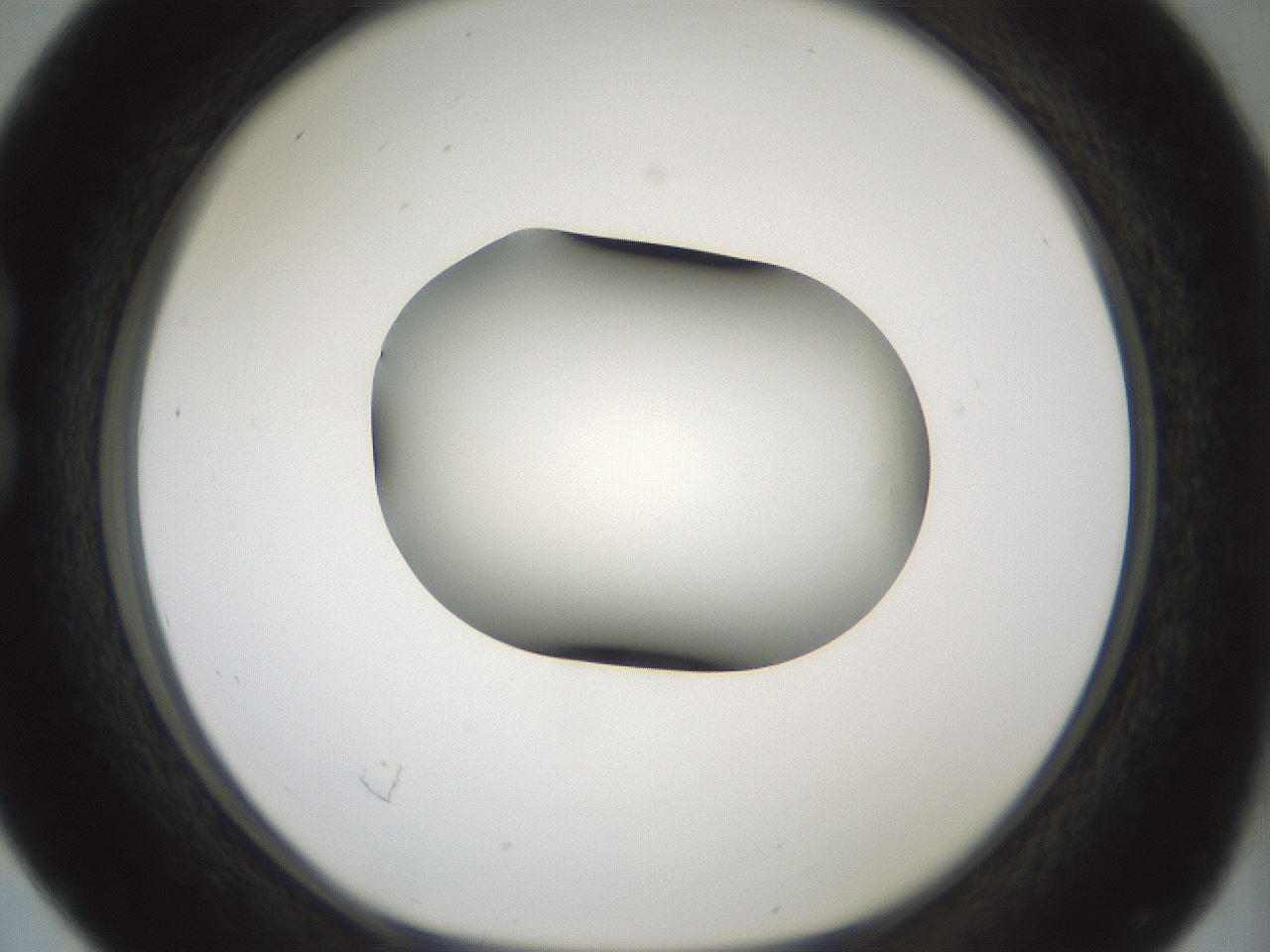 folderID358_plateID1358_batchID4717_wellNum16_profileID1_d1_r82203_ef.jpg