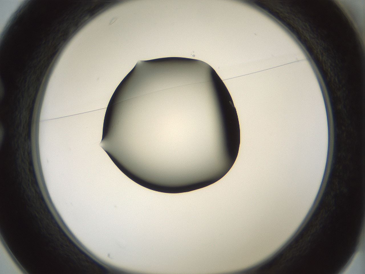 folderID358_plateID1358_batchID4717_wellNum25_profileID1_d1_r82212_ef.jpg