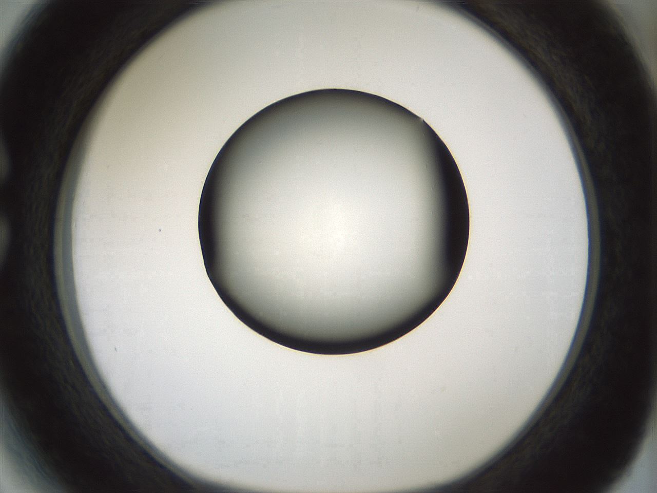 folderID358_plateID1358_batchID4717_wellNum27_profileID1_d1_r82214_ef.jpg