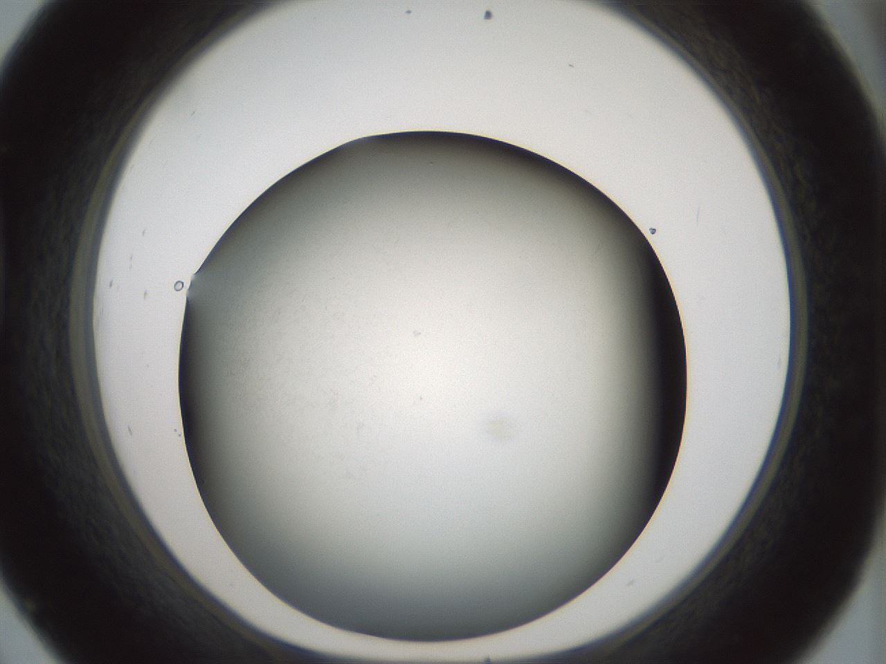 folderID358_plateID1358_batchID4717_wellNum45_profileID1_d1_r82232_ef.jpg