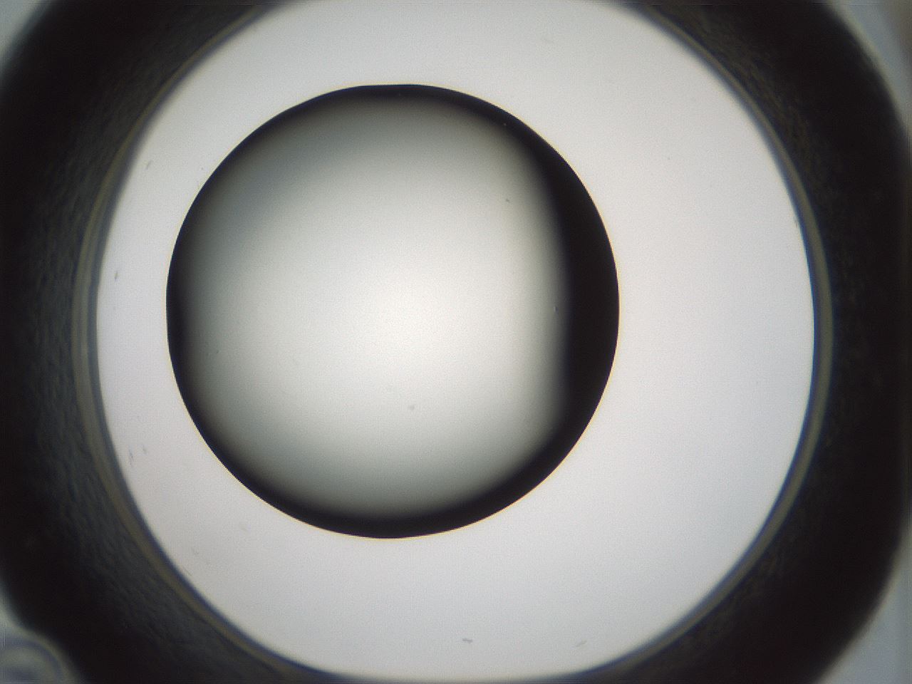 folderID358_plateID1358_batchID4717_wellNum46_profileID1_d1_r82233_ef.jpg