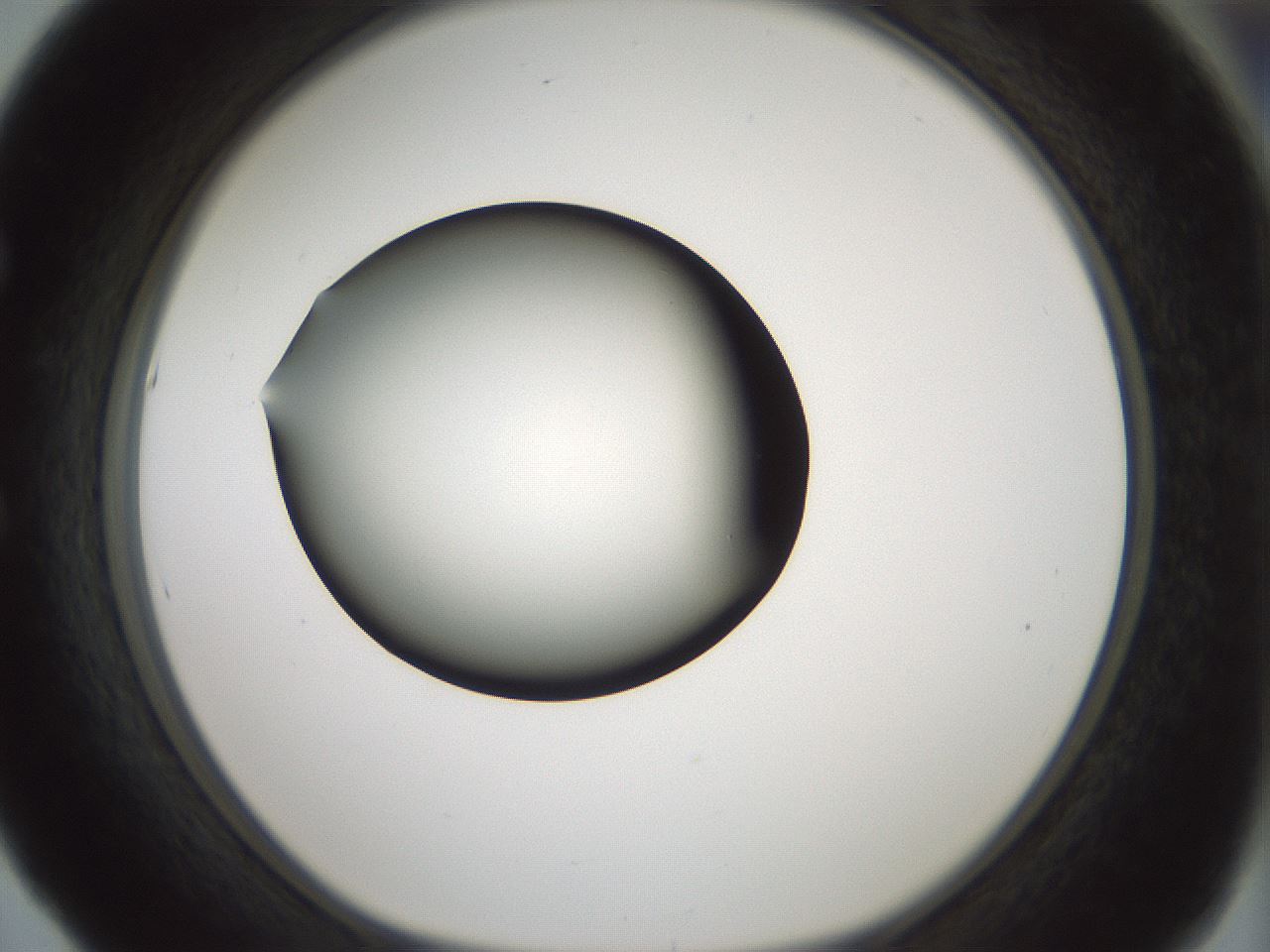 folderID358_plateID1358_batchID4717_wellNum53_profileID1_d1_r82240_ef.jpg