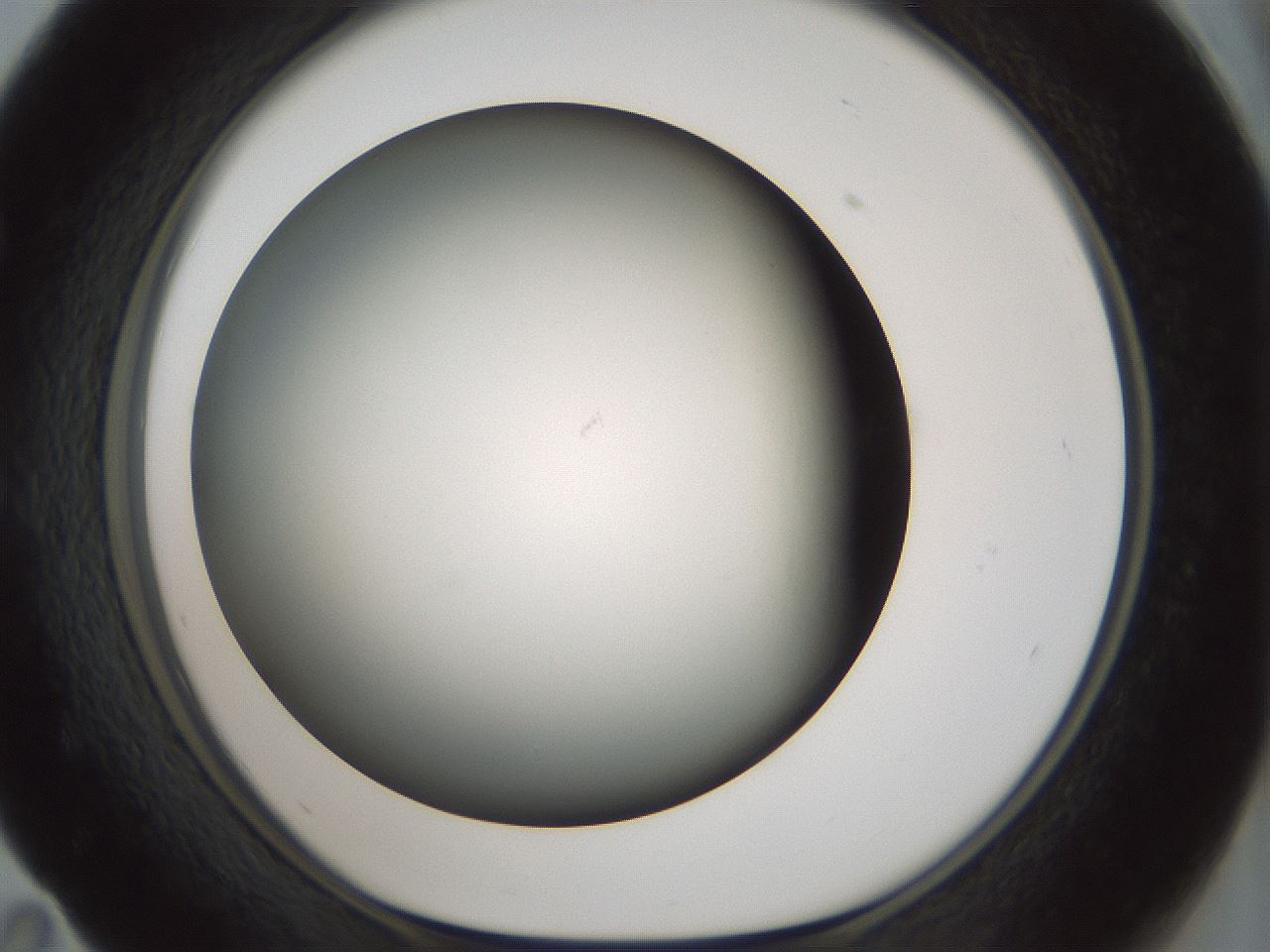 folderID358_plateID1358_batchID4717_wellNum59_profileID1_d1_r82246_ef.jpg