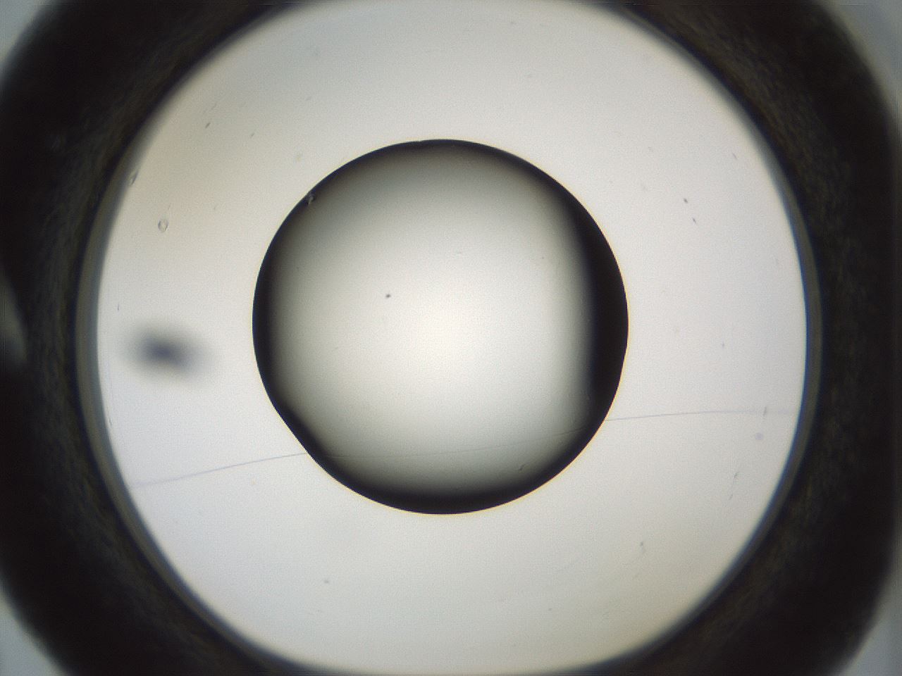 folderID358_plateID1358_batchID4717_wellNum5_profileID1_d1_r82192_ef.jpg