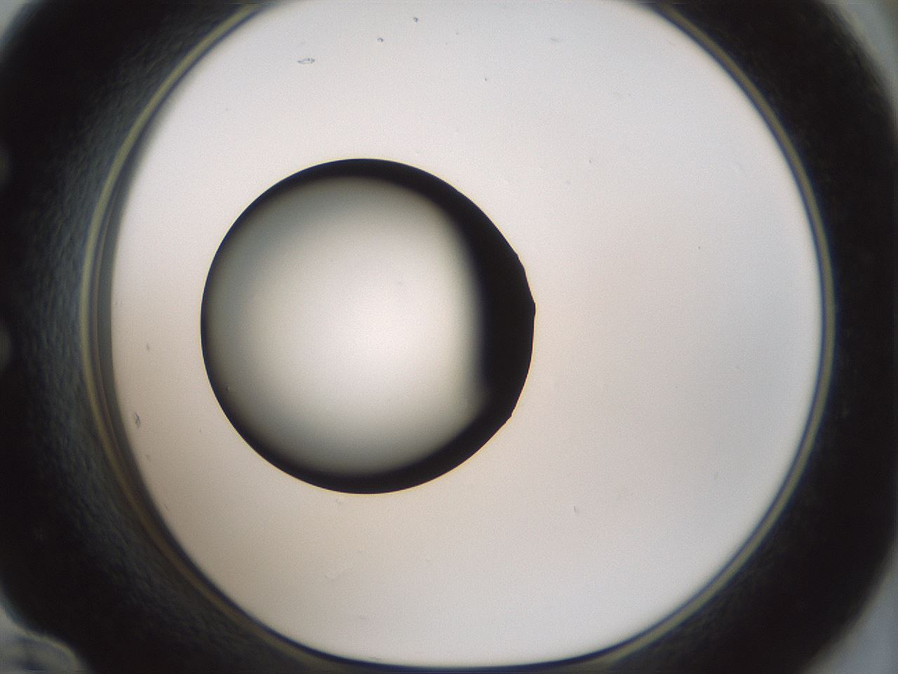folderID358_plateID1358_batchID4717_wellNum60_profileID1_d1_r82247_ef.jpg