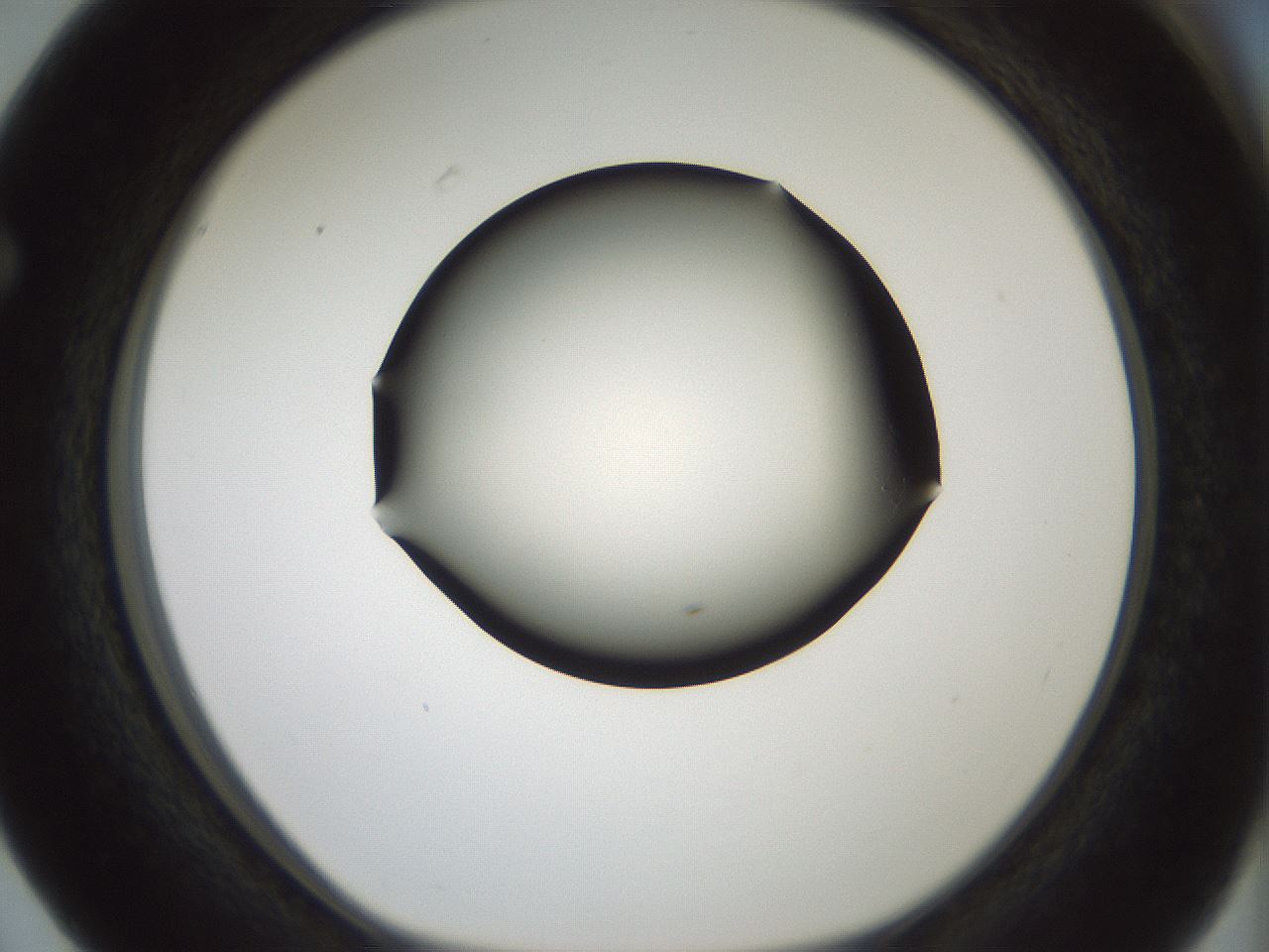 folderID358_plateID1358_batchID4717_wellNum63_profileID1_d1_r82250_ef.jpg