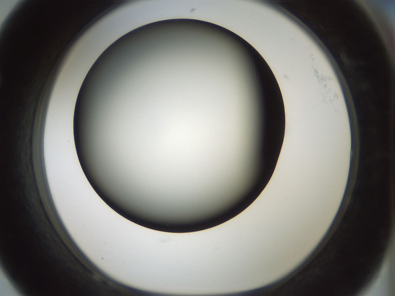 folderID358_plateID1358_batchID4717_wellNum68_profileID1_d1_r82255_ef.jpg