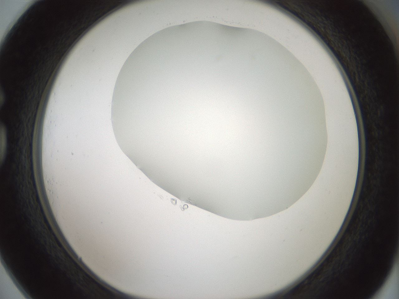 folderID358_plateID1358_batchID4717_wellNum73_profileID1_d1_r82260_ef.jpg