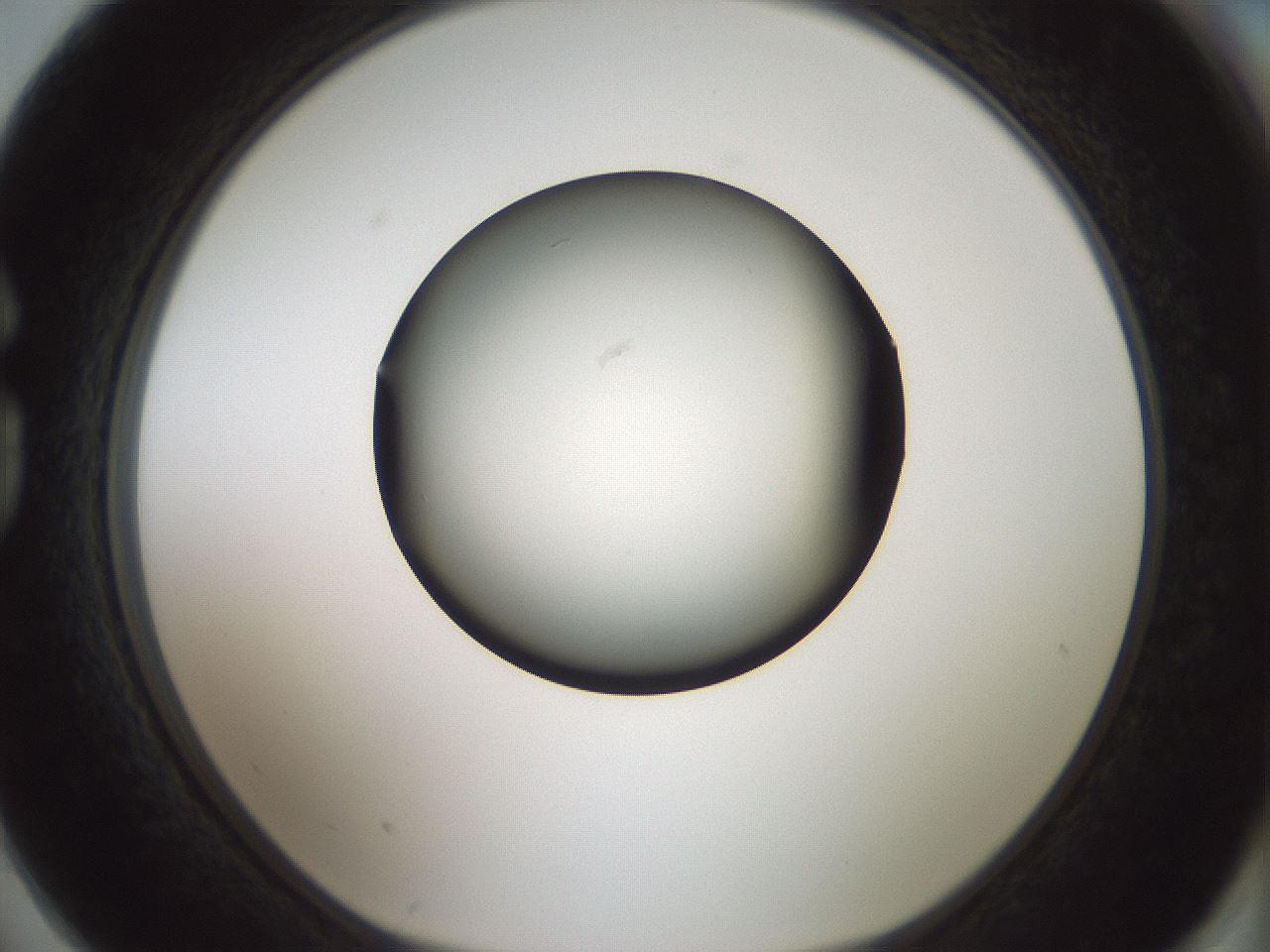 folderID358_plateID1358_batchID4717_wellNum74_profileID1_d1_r82261_ef.jpg