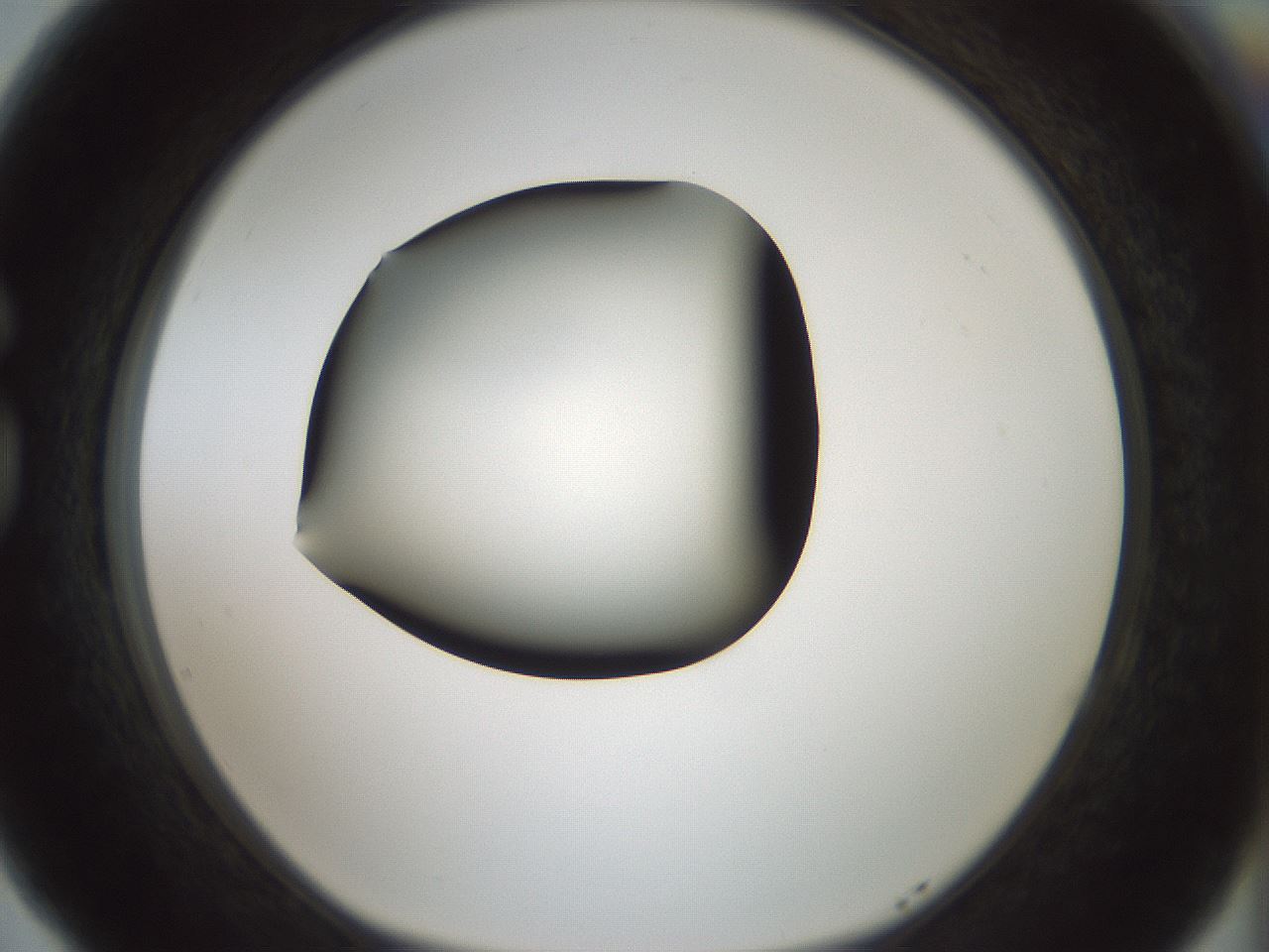 folderID358_plateID1358_batchID4717_wellNum77_profileID1_d1_r82264_ef.jpg