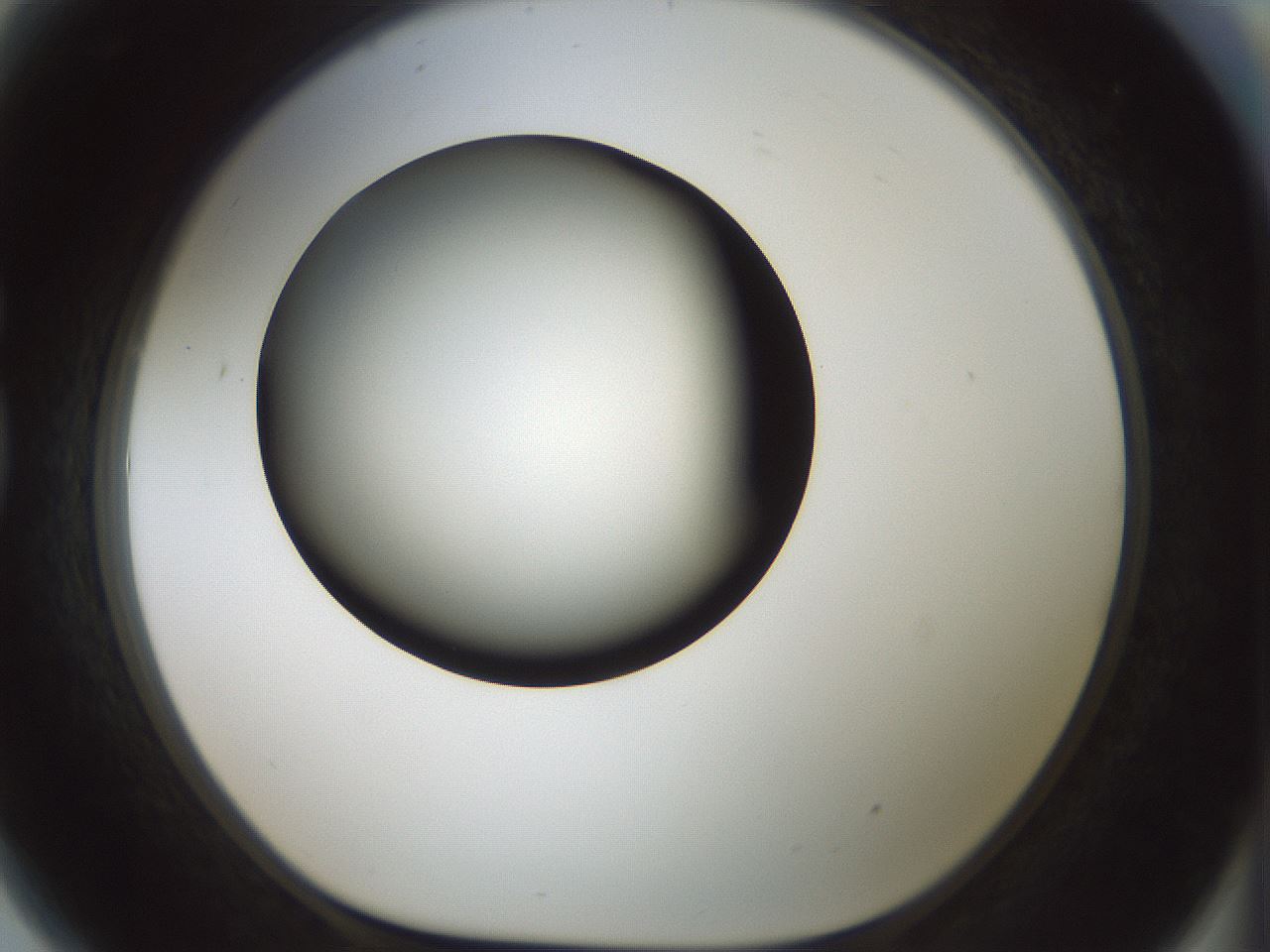 folderID358_plateID1358_batchID4717_wellNum81_profileID1_d1_r82268_ef.jpg