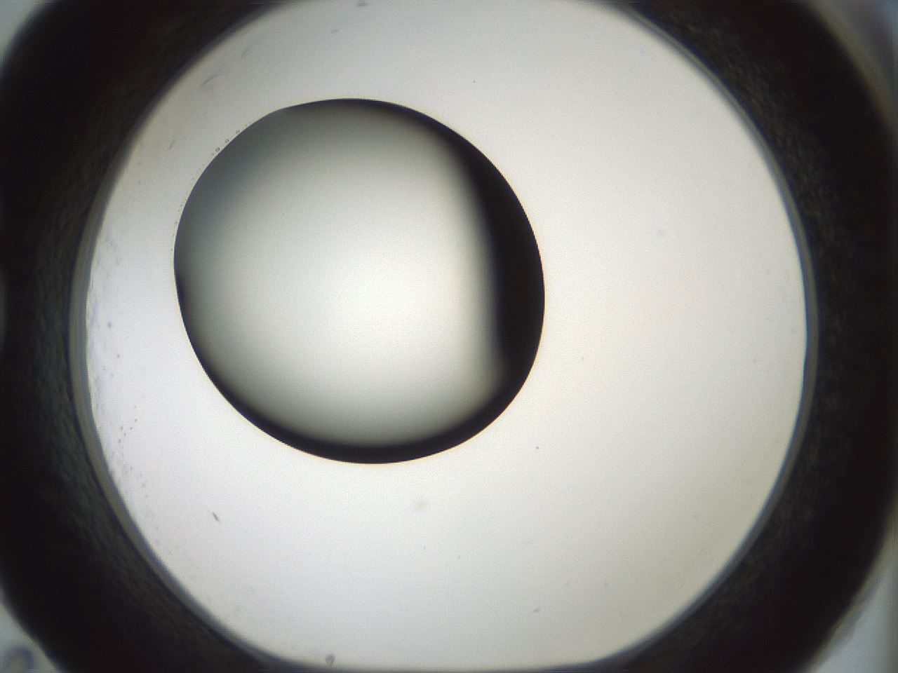 folderID358_plateID1358_batchID4717_wellNum83_profileID1_d1_r82270_ef.jpg