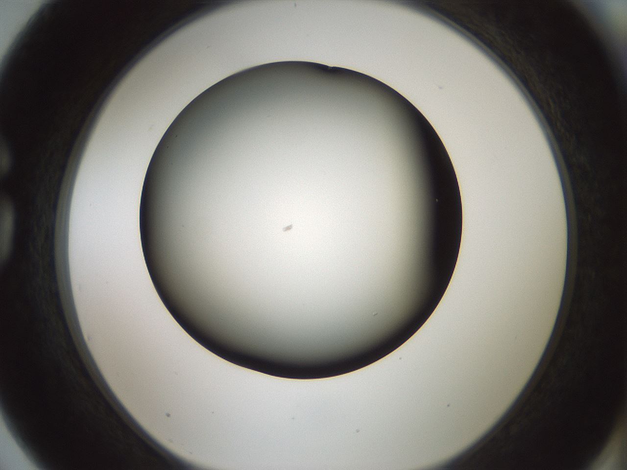 folderID358_plateID1358_batchID4717_wellNum75_profileID1_d1_r82262_ef.jpg