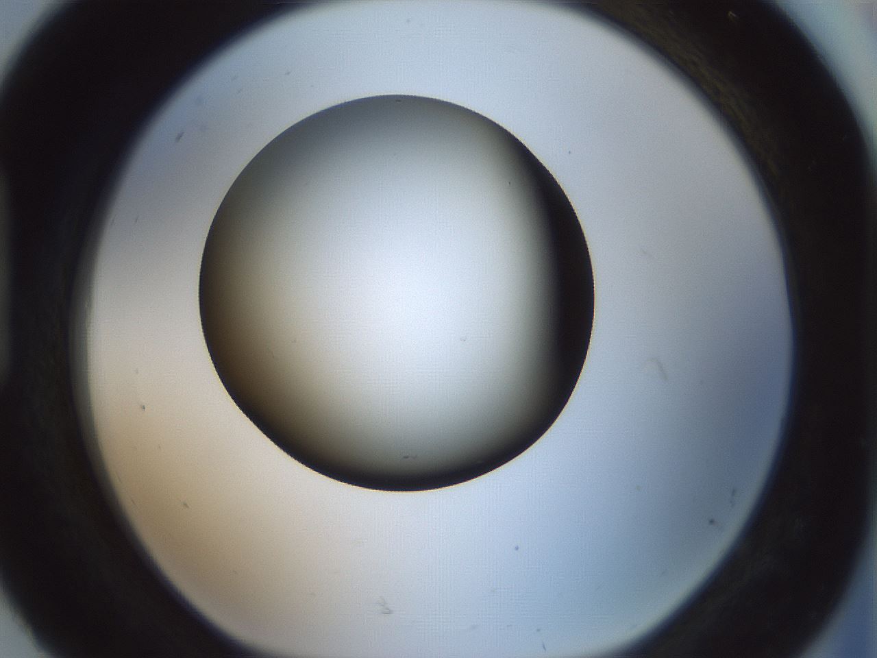 folderID358_plateID1358_batchID4717_wellNum92_profileID1_d1_r82279_ef.jpg
