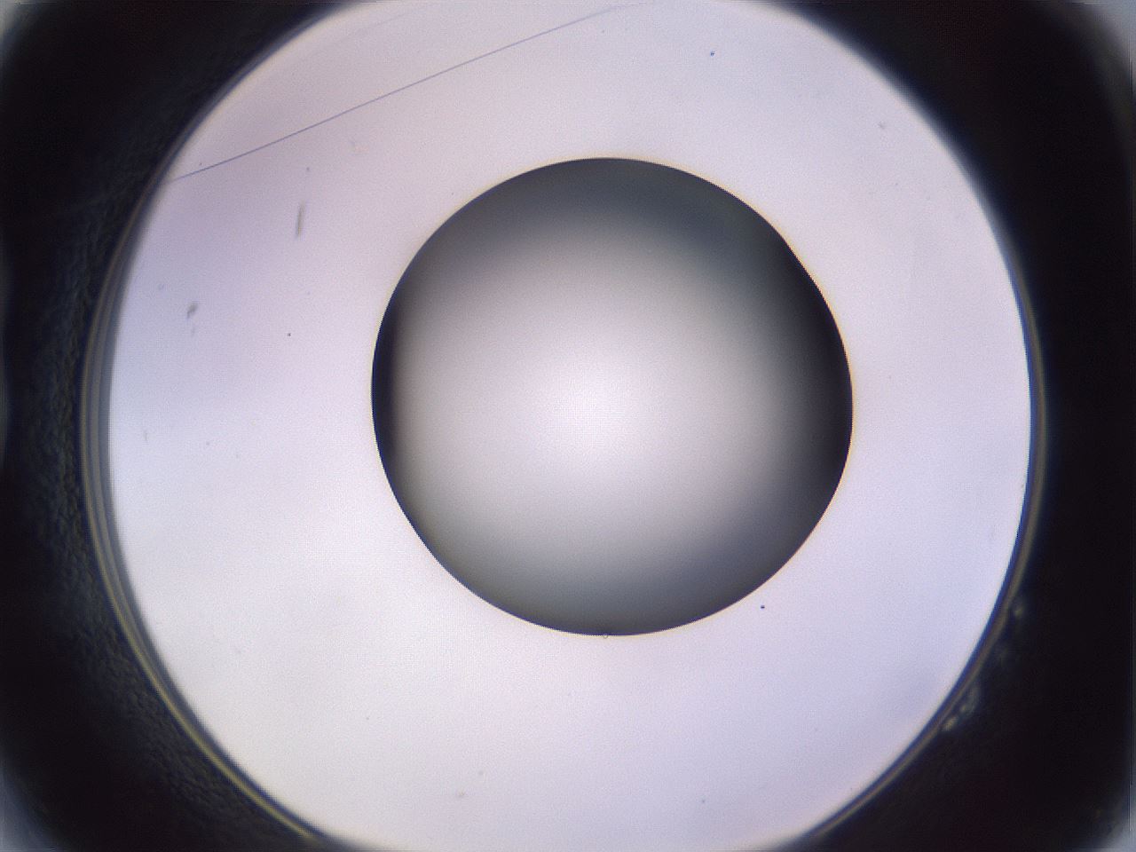 folderID359_plateID1359_batchID4716_wellNum14_profileID1_d1_r82105_ef.jpg
