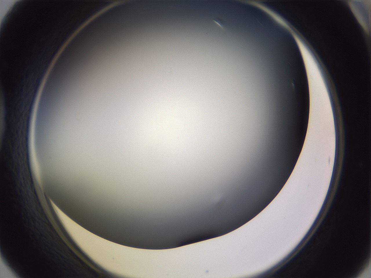 folderID359_plateID1359_batchID4716_wellNum42_profileID1_d1_r82133_ef.jpg