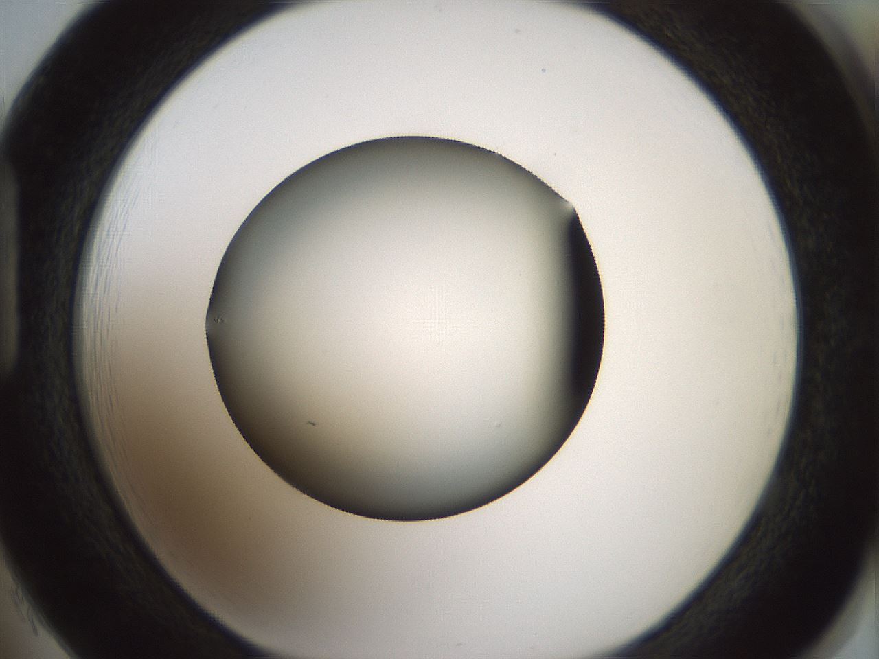 folderID358_plateID1358_batchID4717_wellNum85_profileID1_d1_r82272_ef.jpg