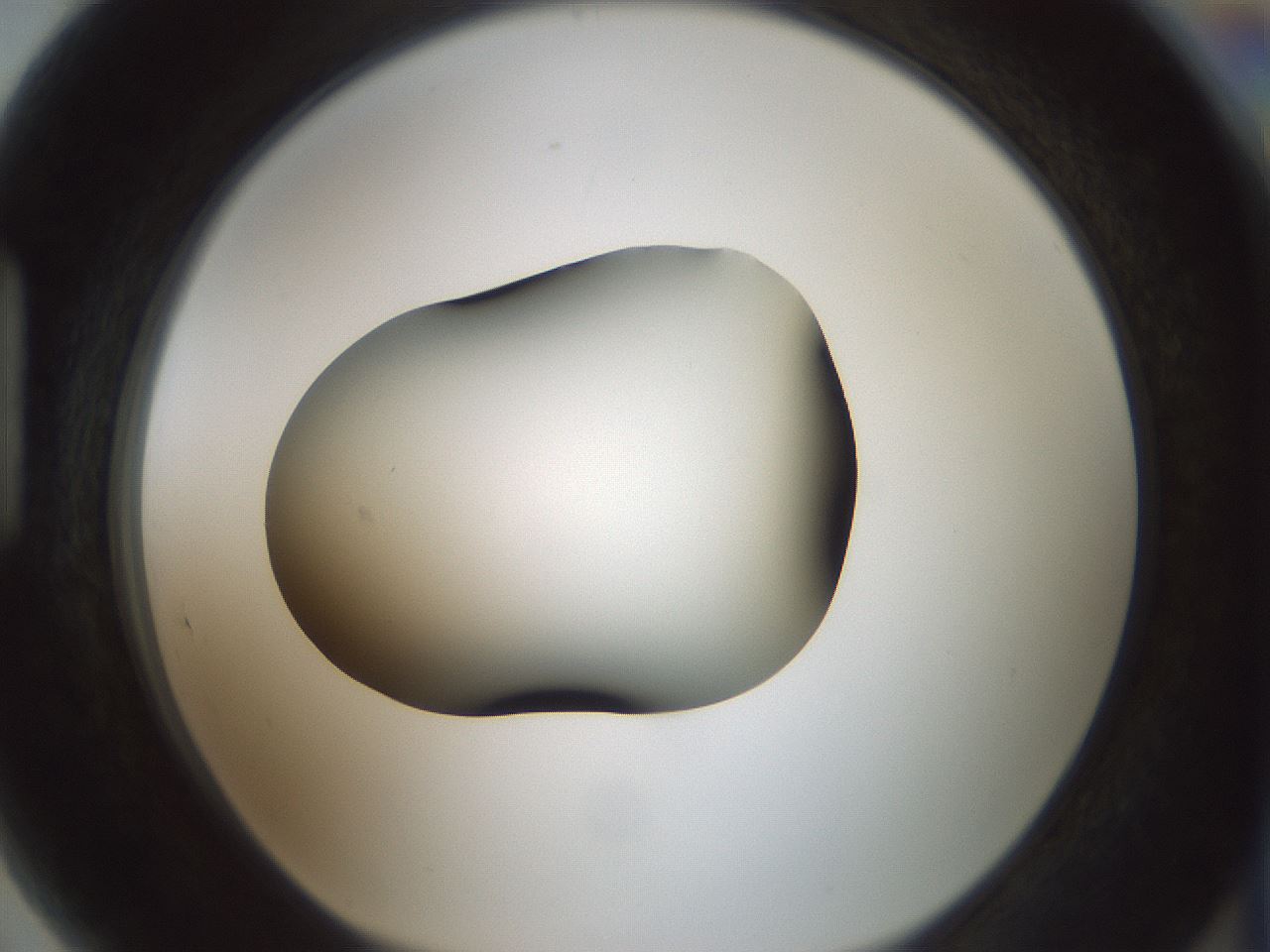 folderID358_plateID1358_batchID4717_wellNum89_profileID1_d1_r82276_ef.jpg