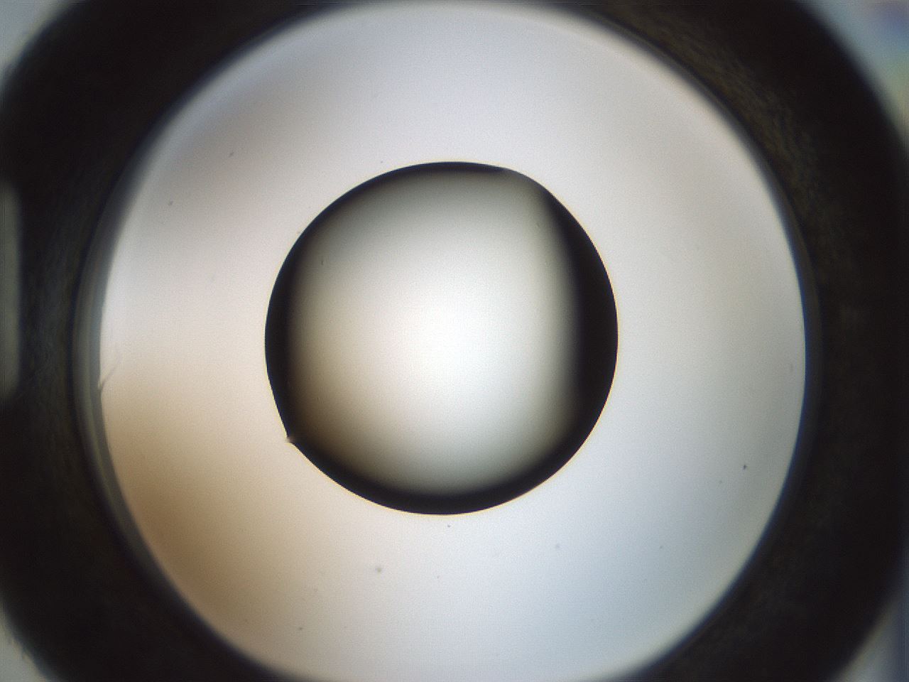 folderID358_plateID1358_batchID4717_wellNum90_profileID1_d1_r82277_ef.jpg