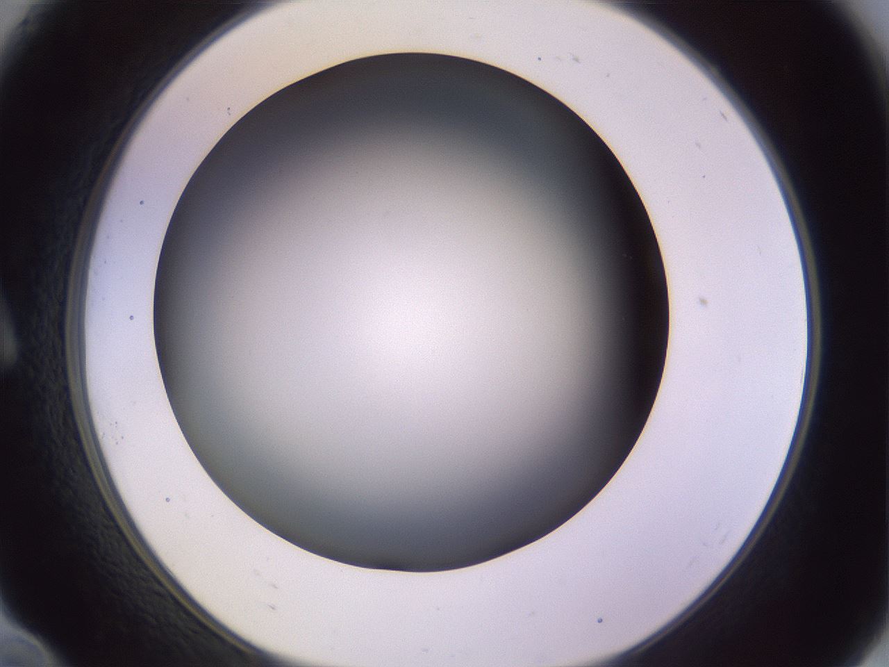 folderID359_plateID1359_batchID4716_wellNum10_profileID1_d1_r82101_ef.jpg