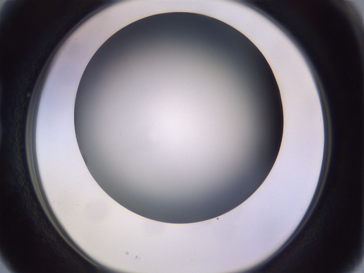 folderID359_plateID1359_batchID4716_wellNum15_profileID1_d1_r82106_ef.jpg