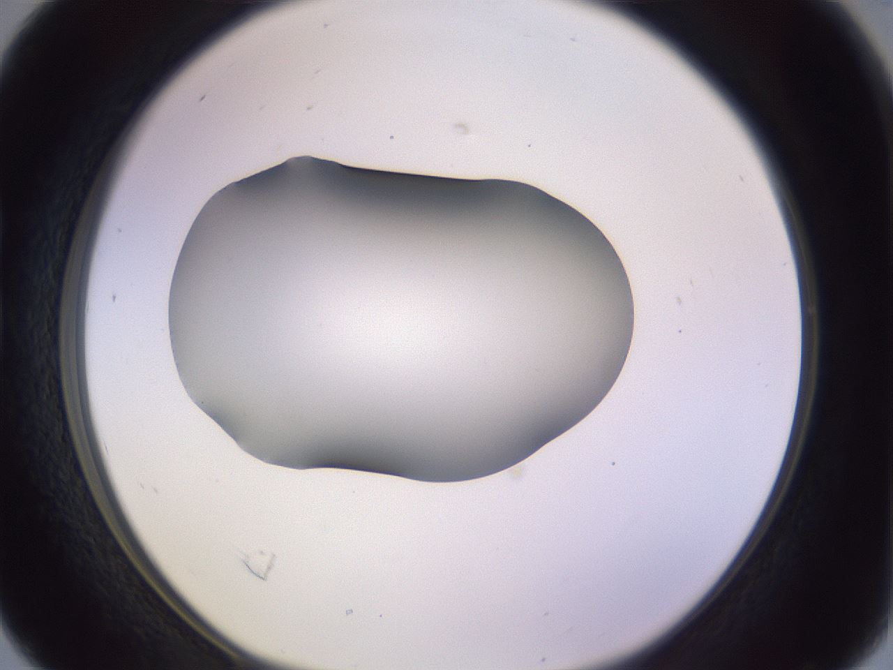 folderID359_plateID1359_batchID4716_wellNum16_profileID1_d1_r82107_ef.jpg