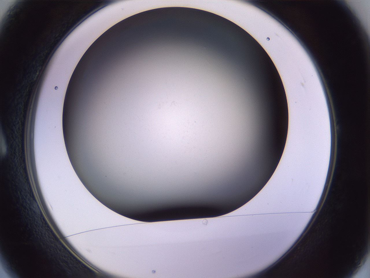 folderID359_plateID1359_batchID4716_wellNum1_profileID1_d1_r82092_ef.jpg
