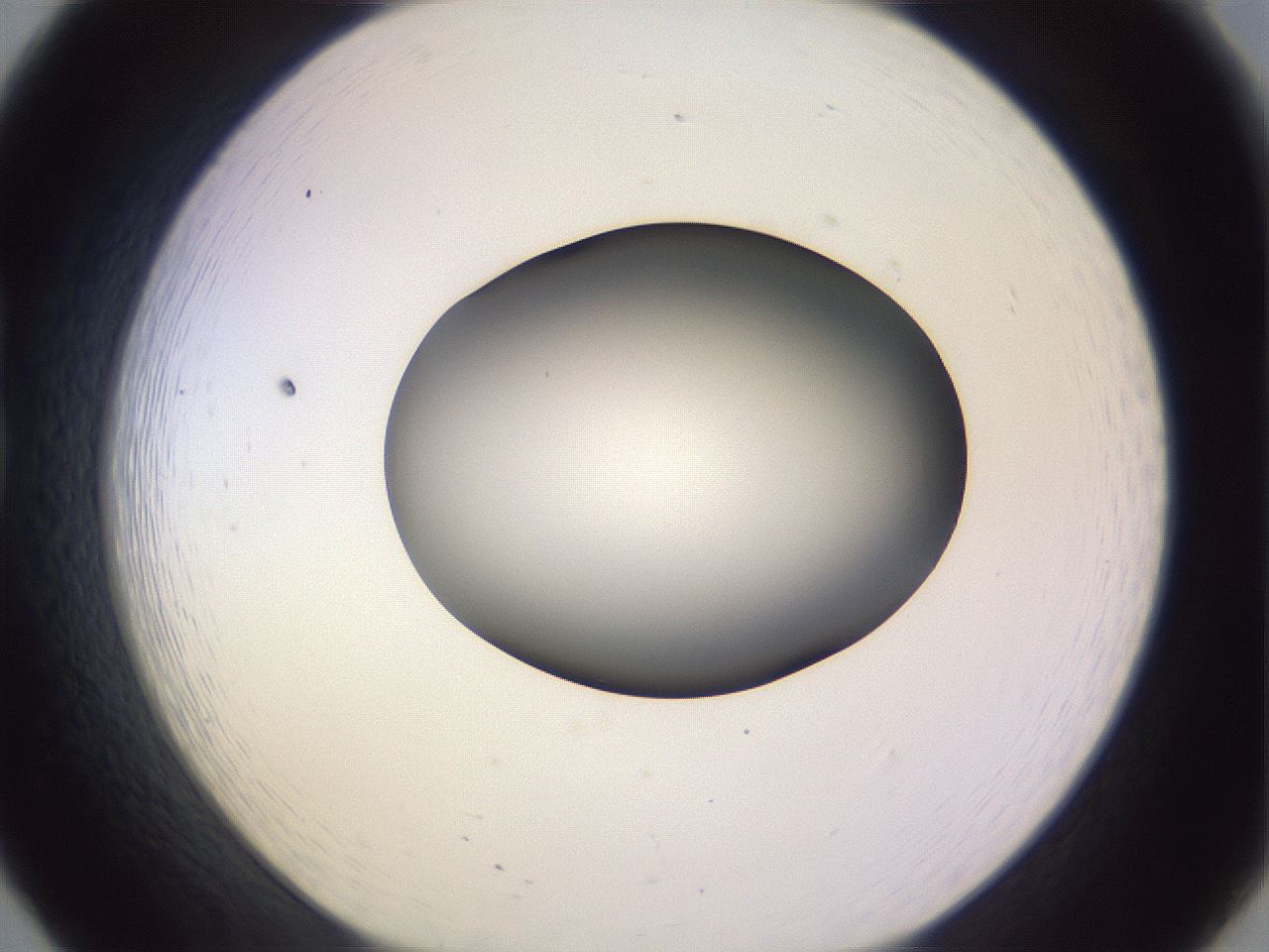 folderID359_plateID1359_batchID4716_wellNum20_profileID1_d1_r82111_ef.jpg