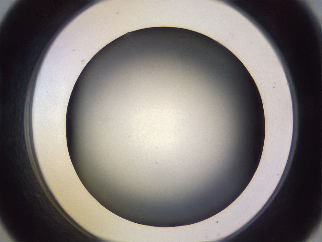 folderID359_plateID1359_batchID4716_wellNum21_profileID1_d1_r82112_ef.jpg
