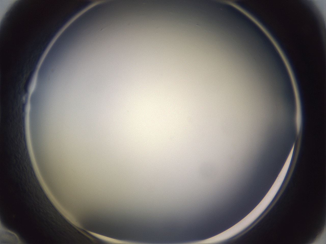 folderID359_plateID1359_batchID4716_wellNum22_profileID1_d1_r82113_ef.jpg
