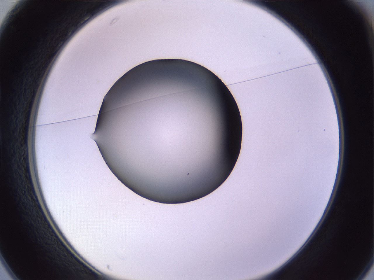 folderID359_plateID1359_batchID4716_wellNum25_profileID1_d1_r82116_ef.jpg