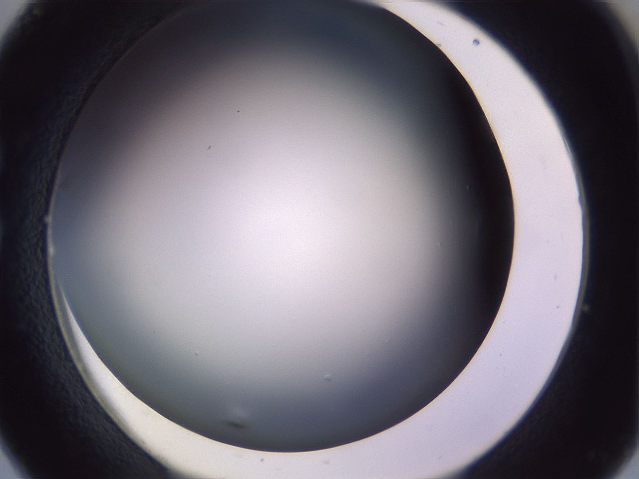 folderID359_plateID1359_batchID4716_wellNum26_profileID1_d1_r82117_ef.jpg