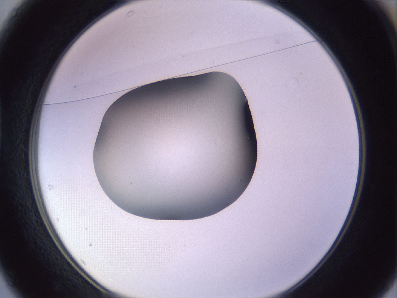 folderID359_plateID1359_batchID4716_wellNum37_profileID1_d1_r82128_ef.jpg