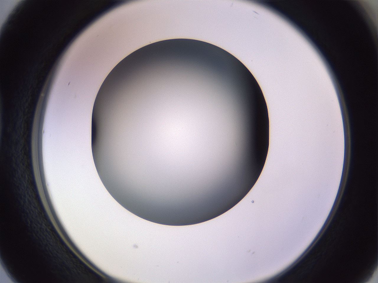 folderID359_plateID1359_batchID4716_wellNum38_profileID1_d1_r82129_ef.jpg
