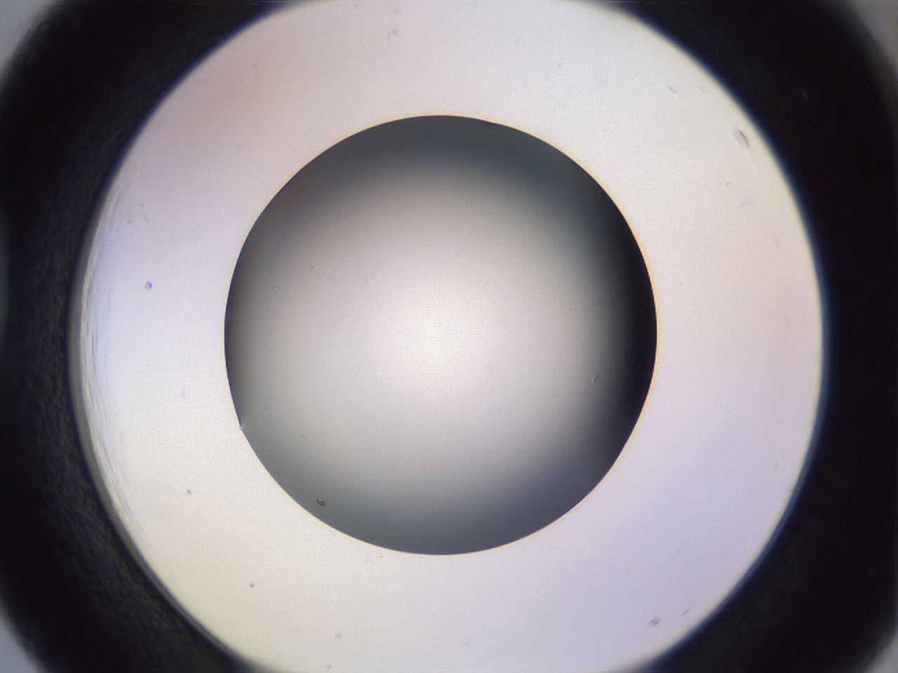folderID359_plateID1359_batchID4716_wellNum39_profileID1_d1_r82130_ef.jpg