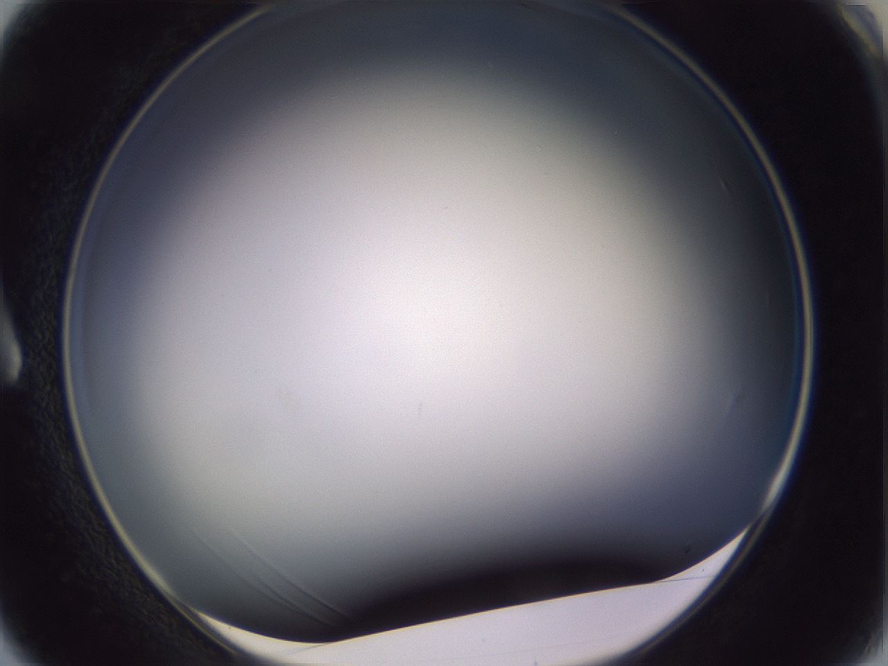 folderID359_plateID1359_batchID4716_wellNum3_profileID1_d1_r82094_ef.jpg