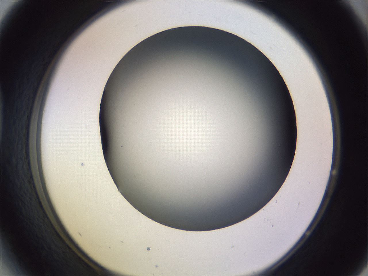 folderID359_plateID1359_batchID4716_wellNum41_profileID1_d1_r82132_ef.jpg